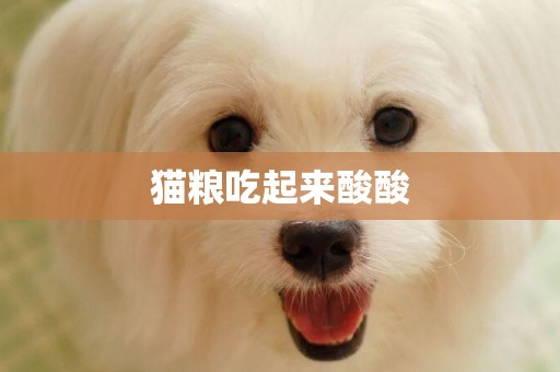 貓糧吃起來酸酸