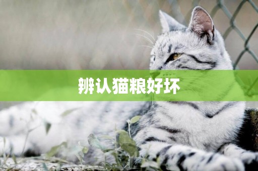 辨認貓糧好壞