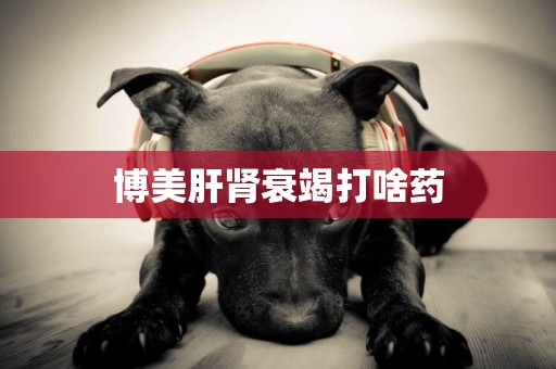 博美肝腎衰竭打啥藥