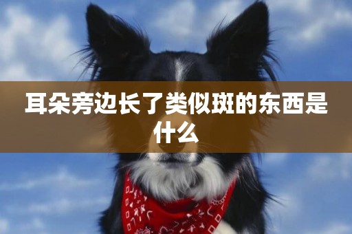 耳朵旁邊長了類似斑的東西是什么