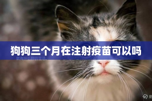 狗狗三個月在注射疫苗可以嗎