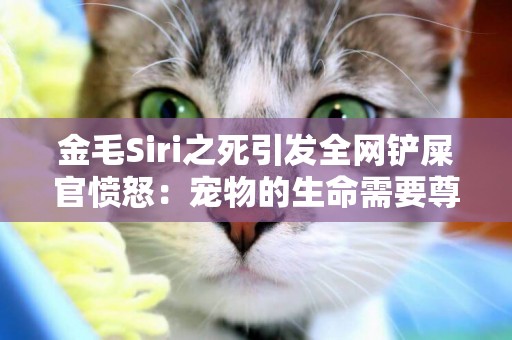 金毛Siri之死引發全網鏟屎官憤怒：寵物的生命需要尊重！