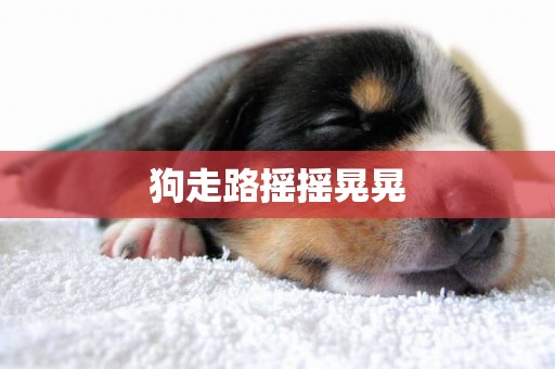 狗走路搖搖晃晃
