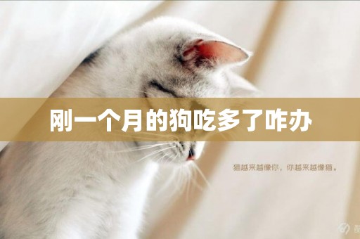 剛一個月的狗吃多了咋辦