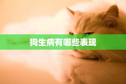 狗生病有哪些表現