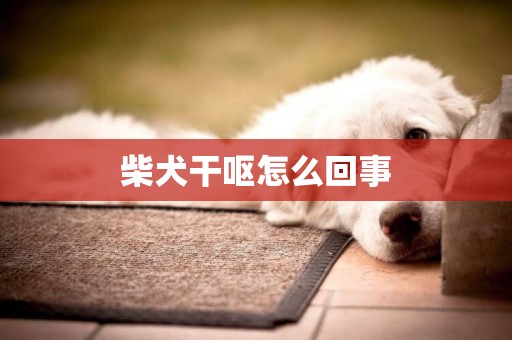 柴犬干嘔怎么回事