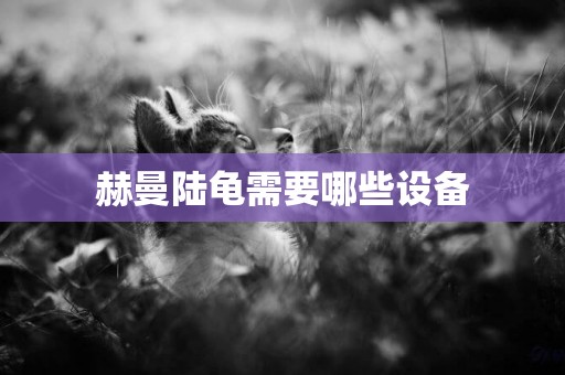 赫曼陸龜需要哪些設備
