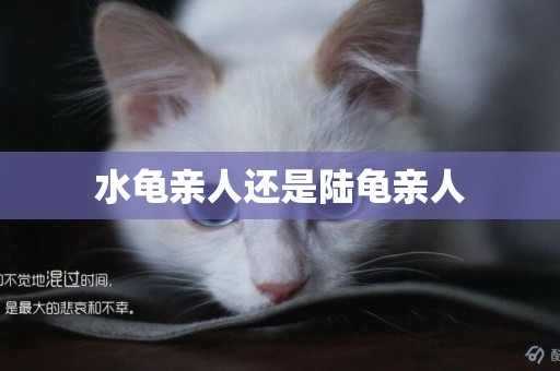 水龜親人還是陸龜親人