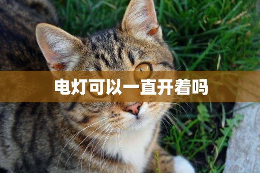 電燈可以一直開著嗎