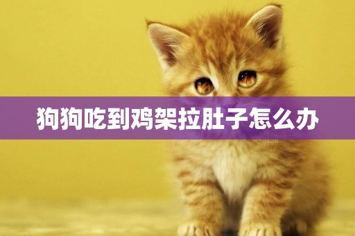狗狗吃到雞架拉肚子怎么辦