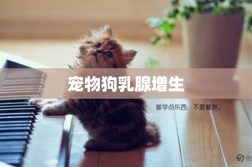寵物狗乳腺增生