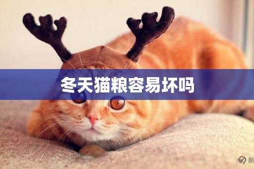 冬天貓糧容易壞嗎