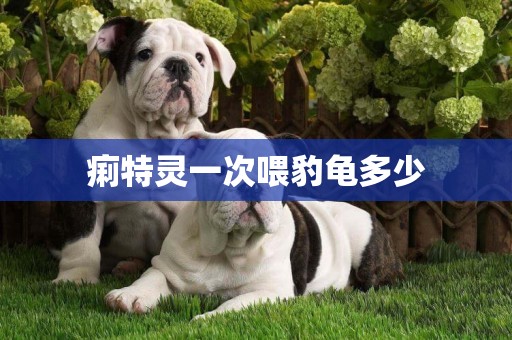 痢特靈一次喂豹龜多少