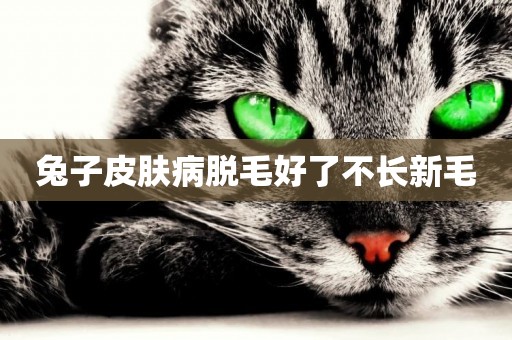 兔子皮膚病脫毛好了不長新毛