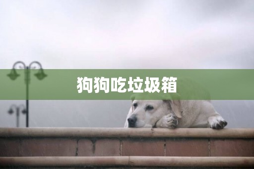 狗狗吃垃圾箱