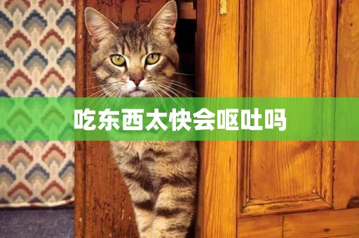 吃東西太快會嘔吐嗎