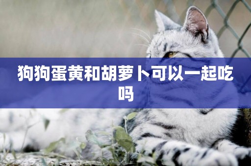 狗狗蛋黃和胡蘿卜可以一起吃嗎