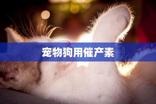 寵物狗用催產素