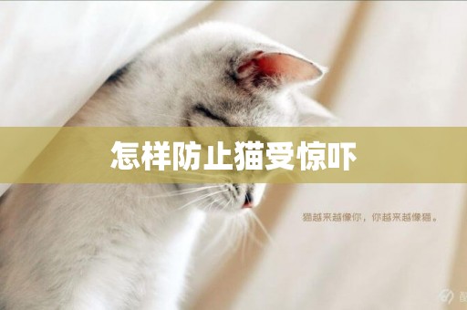 怎樣防止貓受驚嚇
