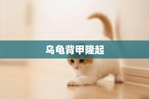 烏龜背甲隆起