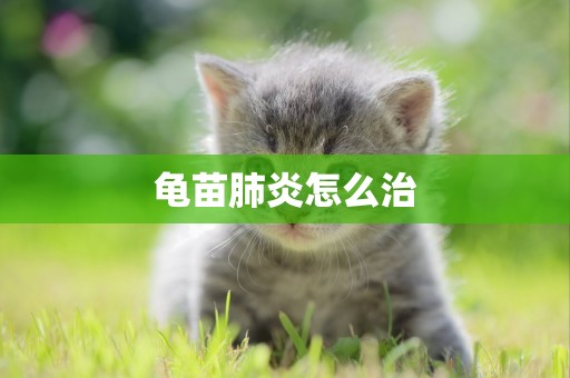 龜苗肺炎怎么治