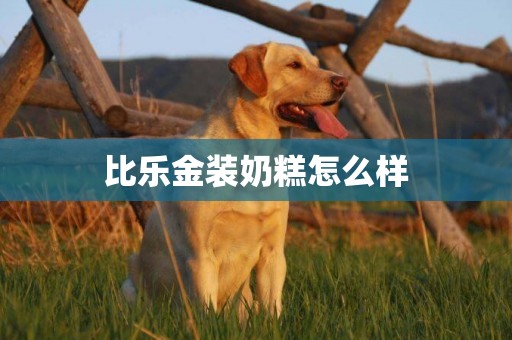 比樂金裝奶糕怎么樣