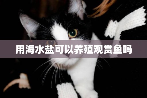用海水鹽可以養殖觀賞魚嗎