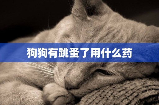 狗狗有跳蚤了用什么藥