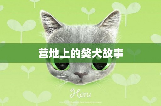 營地上的獒犬故事