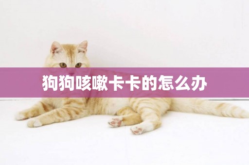 狗狗咳嗽卡卡的怎么辦