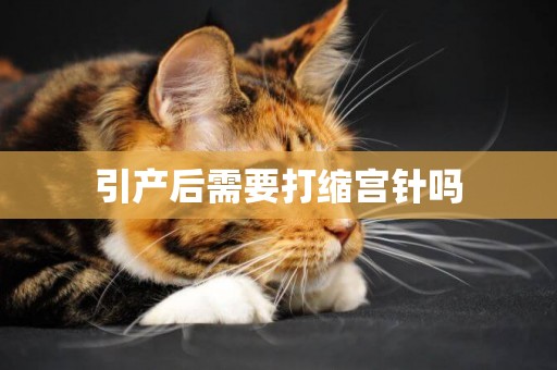 引產后需要打縮宮針嗎