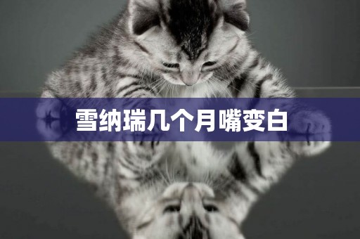 雪納瑞幾個月嘴變白