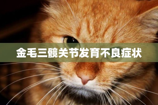 金毛三髖關節發育不良癥狀