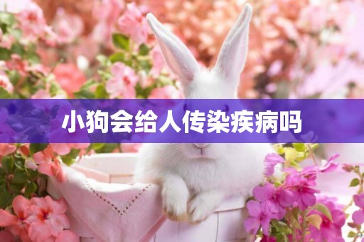 小狗會給人傳染疾病嗎