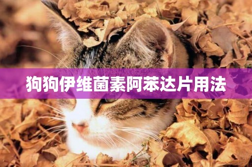 狗狗伊維菌素阿苯達片用法