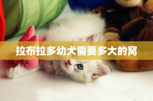 拉布拉多幼犬需要多大的窩