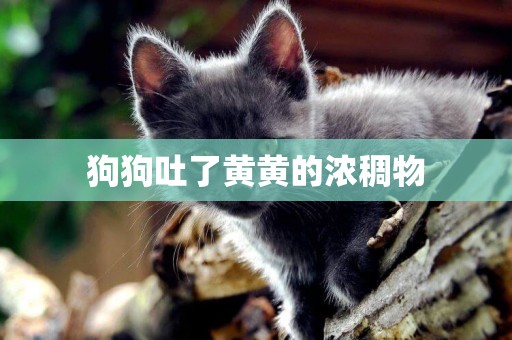 狗狗吐了黃黃的濃稠物
