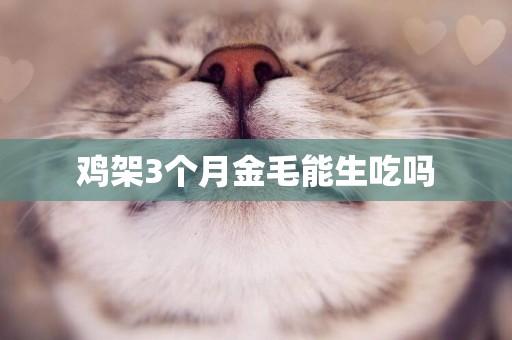 雞架3個月金毛能生吃嗎