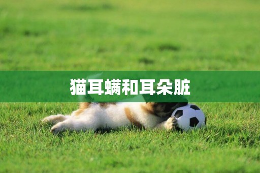 貓耳螨和耳朵臟