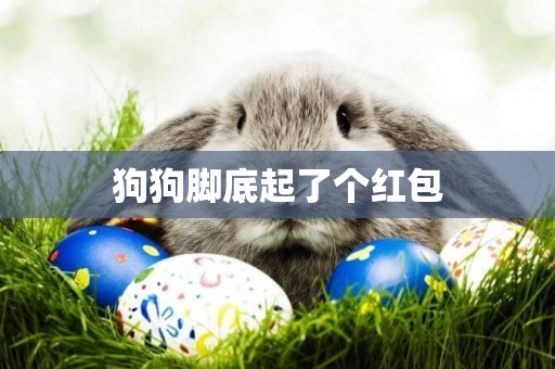 狗狗腳底起了個紅包