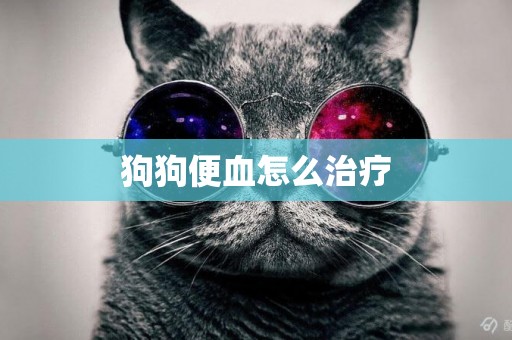 狗狗便血怎么治療