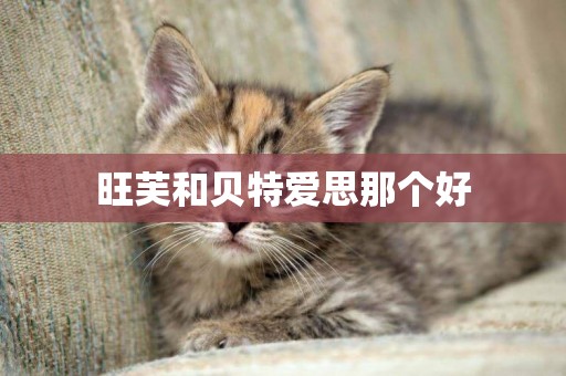 旺芙和貝特愛思那個好