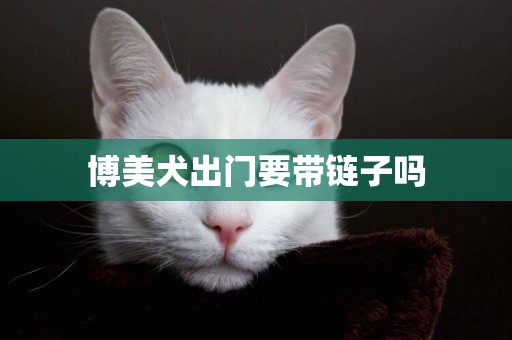 博美犬出門要帶鏈子嗎