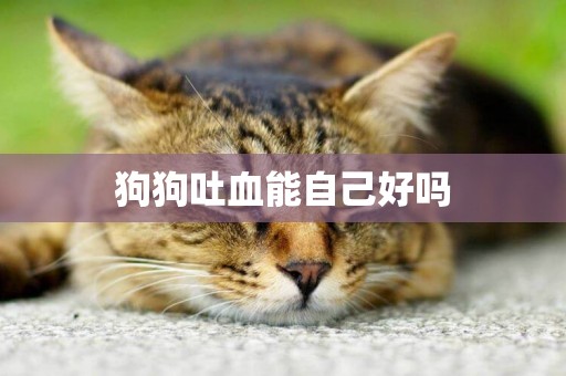 狗狗吐血能自己好嗎