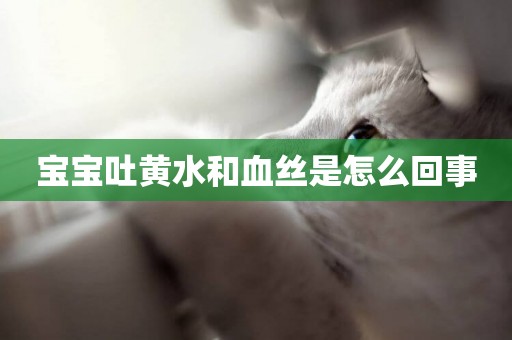 寶寶吐黃水和血絲是怎么回事