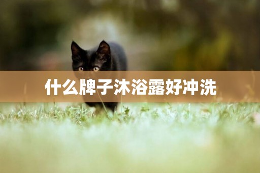 什么牌子沐浴露好沖洗