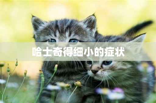 哈士奇得細小的癥狀