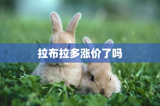 拉布拉多漲價了嗎