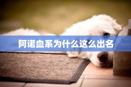 阿諾血系為什么這么出名