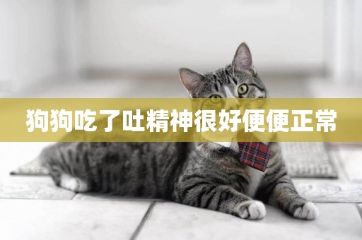 狗狗吃了吐精神很好便便正常